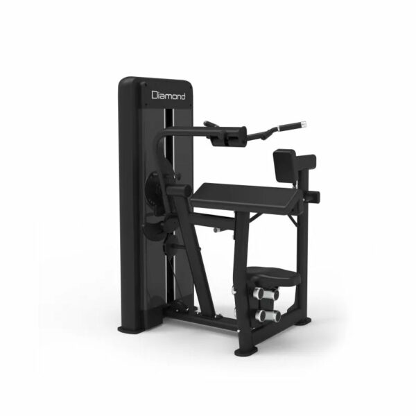 Diamond Combo Biceps / Triceps Machine Professionnelle Série 550