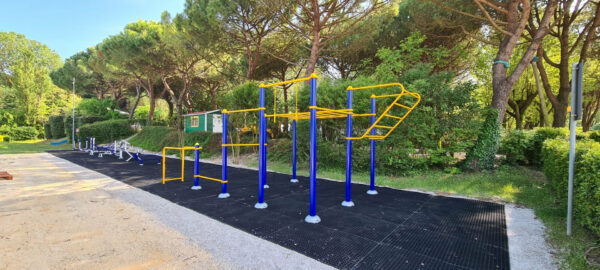 Parc de remise en forme Golden Games F-Tupe 101 - FPSW01 – Image 11