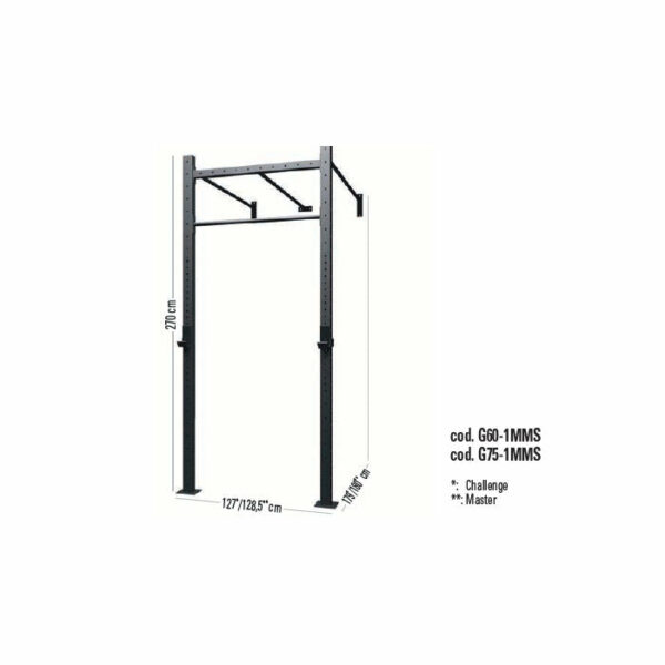 Toorx CHALLENGE cage 1 baie murale - G60-1M